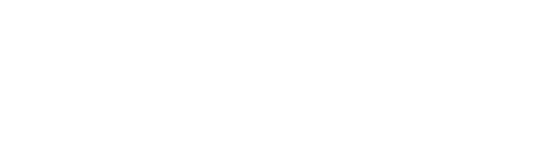 LogicStream Solutions Logo